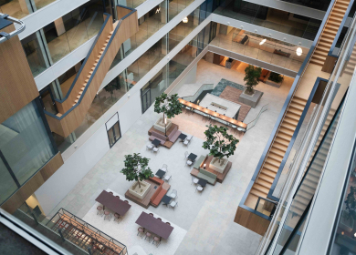 The Den 3